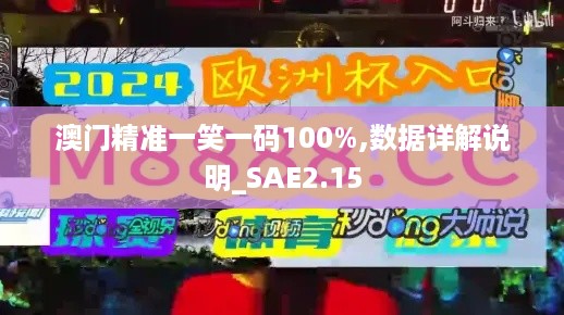 澳门精准一笑一码100%,数据详解说明_SAE2.15