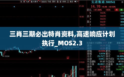 三肖三期必出特肖资料,高速响应计划执行_MOS2.3