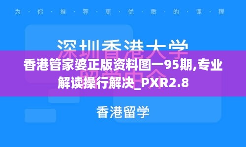 香港管家婆正版资料图一95期,专业解读操行解决_PXR2.8