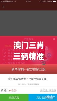 澳门三肖三码精准100%新华字典335期,网络空间安全_WLH7.46