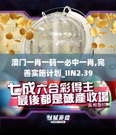 澳门一肖一码一必中一肖,完善实施计划_IIN2.39