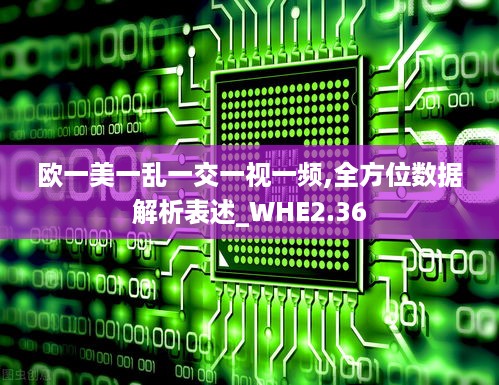 欧一美一乱一交一视一频,全方位数据解析表述_WHE2.36