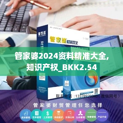 管家婆2024资料精准大全,知识产权_BKK2.54