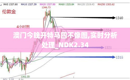 澳门今晚开特马四不像图,实时分析处理_NDK2.34