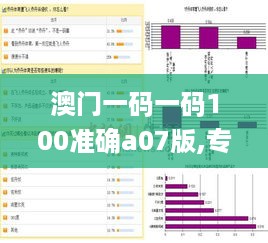 澳门一码一码100准确a07版,专业解读方案实施_DGL2.36