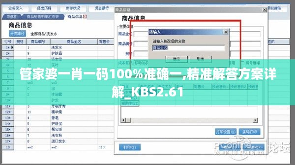 管家婆一肖一码100%准确一,精准解答方案详解_KBS2.61