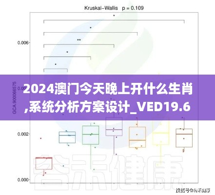 2024澳门今天晚上开什么生肖,系统分析方案设计_VED19.69