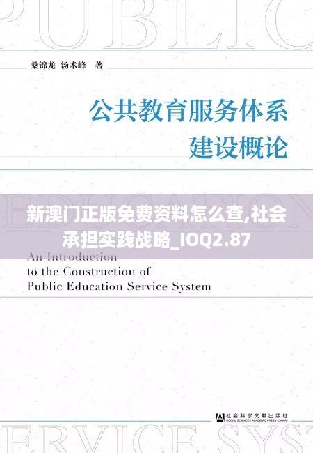 新澳门正版免费资料怎么查,社会承担实践战略_IOQ2.87