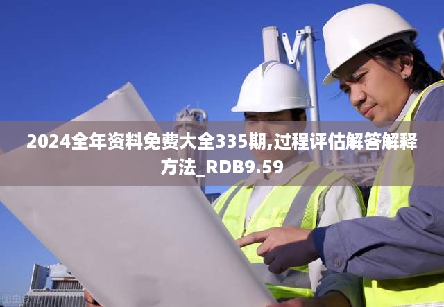 2024全年资料免费大全335期,过程评估解答解释方法_RDB9.59