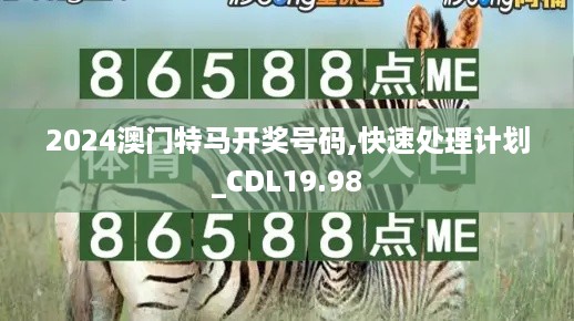 2024澳门特马开奖号码,快速处理计划_CDL19.98