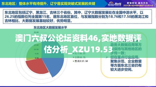 澳门六叔公论坛资料46,实地数据评估分析_XZU19.53