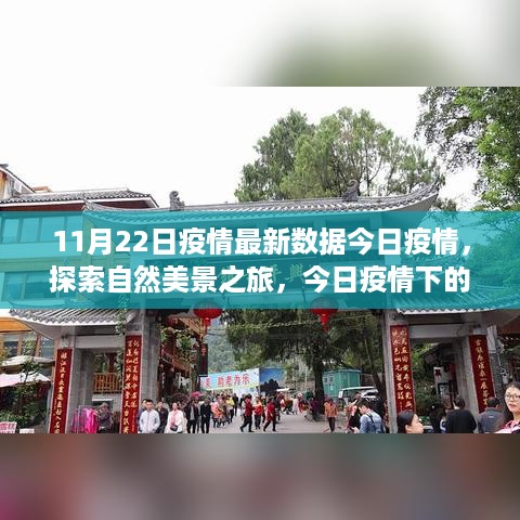 11月22日疫情最新数据，自然美景探索之旅与心灵宁静角落的体验