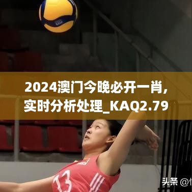 2024澳门今晚必开一肖,实时分析处理_KAQ2.79