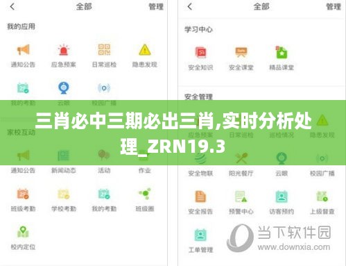 三肖必中三期必出三肖,实时分析处理_ZRN19.3