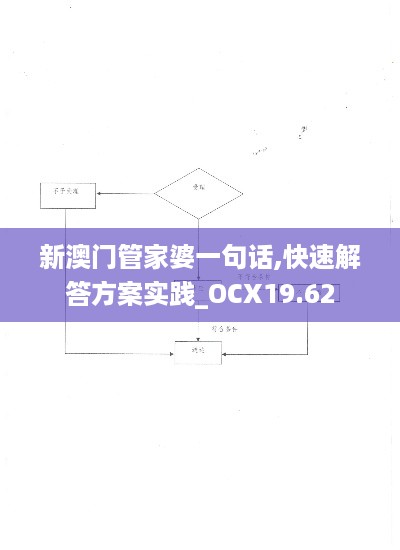 新澳门管家婆一句话,快速解答方案实践_OCX19.62