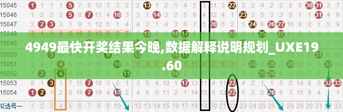 4949最快开奖结果今晚,数据解释说明规划_UXE19.60