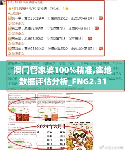 澳门管家婆100%精准,实地数据评估分析_FNG2.31