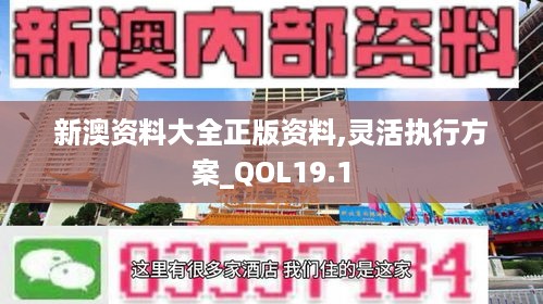 新澳资料大全正版资料,灵活执行方案_QOL19.1