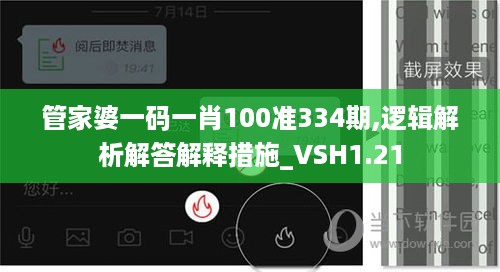 管家婆一码一肖100准334期,逻辑解析解答解释措施_VSH1.21