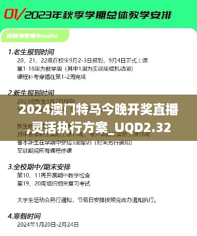 2024澳门特马今晚开奖直播,灵活执行方案_UQD2.32