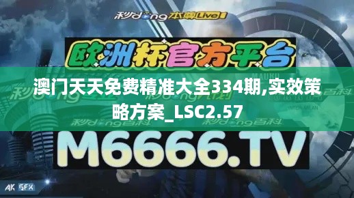 澳门天天免费精准大全334期,实效策略方案_LSC2.57