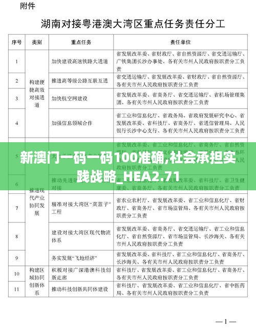 新澳门一码一码100准确,社会承担实践战略_HEA2.71