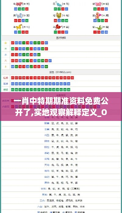 一肖中特期期准资料免费公开了,实地观察解释定义_OXR2.13