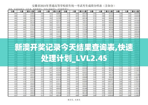 新澳开奖记录今天结果查询表,快速处理计划_LVL2.45