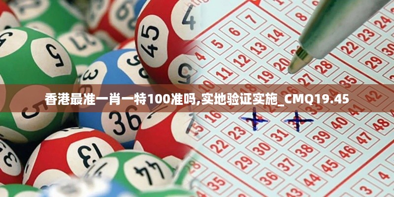 香港最准一肖一特100准吗,实地验证实施_CMQ19.45