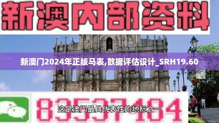 新澳门2024年正版马表,数据评估设计_SRH19.60