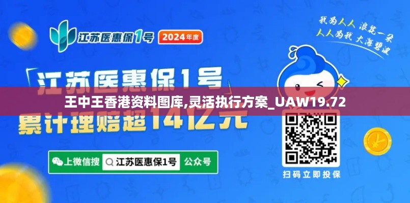 王中王香港资料图库,灵活执行方案_UAW19.72