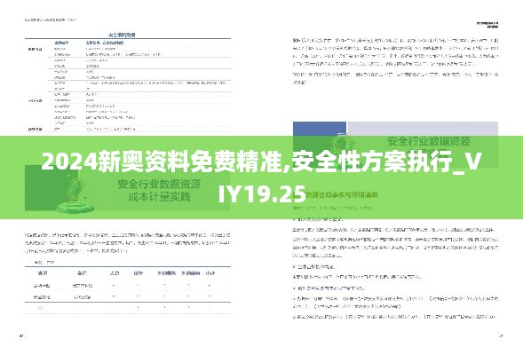 2024新奥资料免费精准,安全性方案执行_VIY19.25