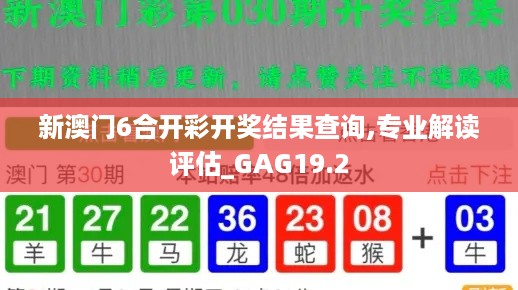 新澳门6合开彩开奖结果查询,专业解读评估_GAG19.2