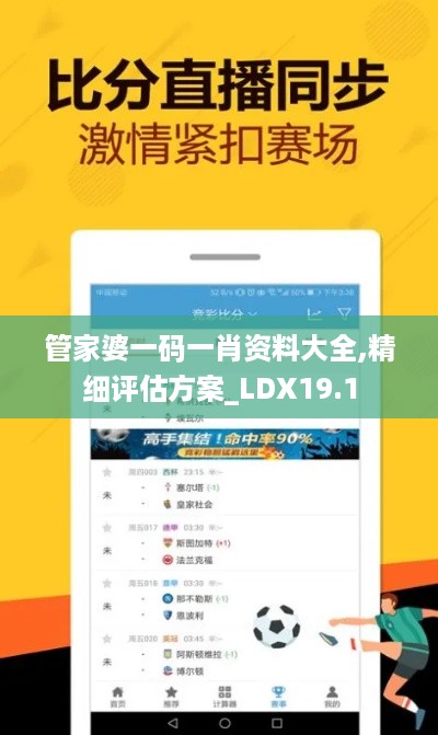 管家婆一码一肖资料大全,精细评估方案_LDX19.1