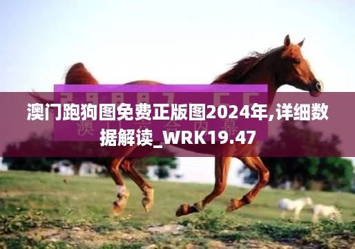 澳门跑狗图免费正版图2024年,详细数据解读_WRK19.47