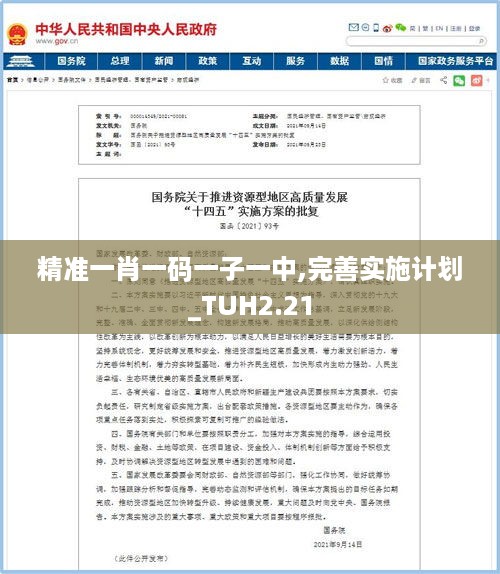 精准一肖一码一子一中,完善实施计划_TUH2.21