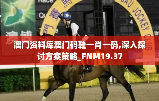 澳门资料库澳门码鞋一肖一码,深入探讨方案策略_FNM19.37