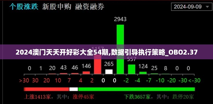 2024澳门天天开好彩大全54期,数据引导执行策略_OBO2.37