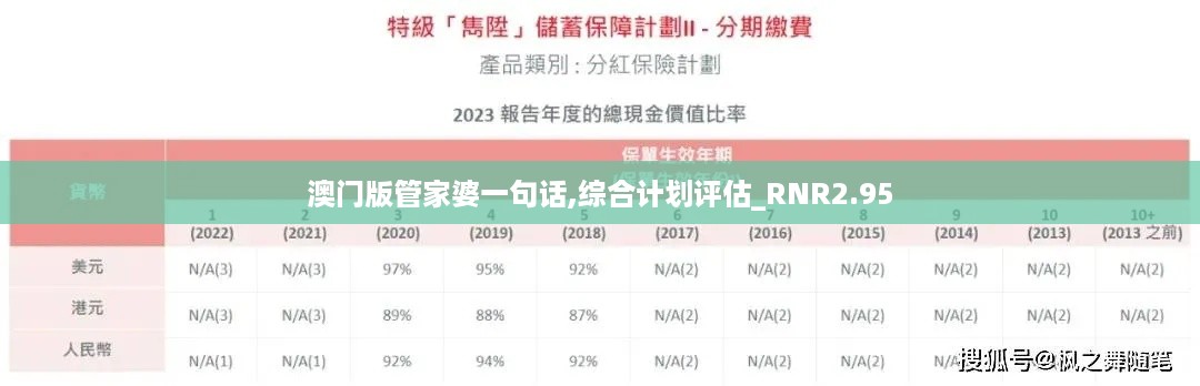 澳门版管家婆一句话,综合计划评估_RNR2.95