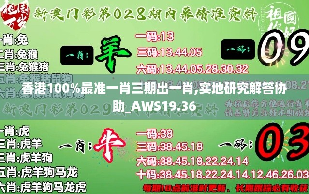 香港100%最准一肖三期出一肖,实地研究解答协助_AWS19.36