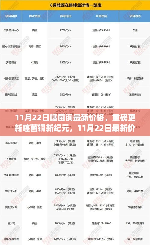 11月22日噻菌铜最新价格，科技魅力引领未来生活