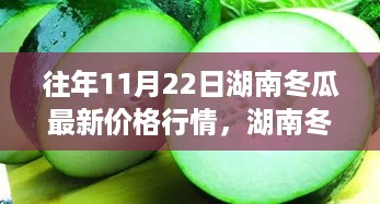 湖南冬瓜情缘，季节与友情的温馨故事，最新价格行情揭秘