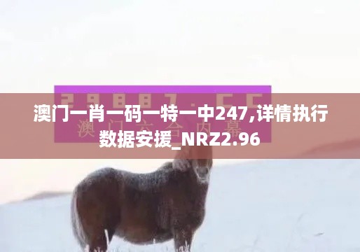 澳门一肖一码一特一中247,详情执行数据安援_NRZ2.96