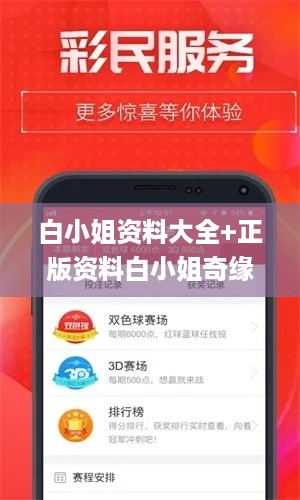 白小姐资料大全+正版资料白小姐奇缘四肖,精细化实施分析_XYC2.8