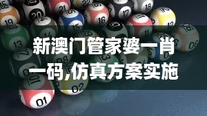 新澳门管家婆一肖一码,仿真方案实施_HNQ19.48