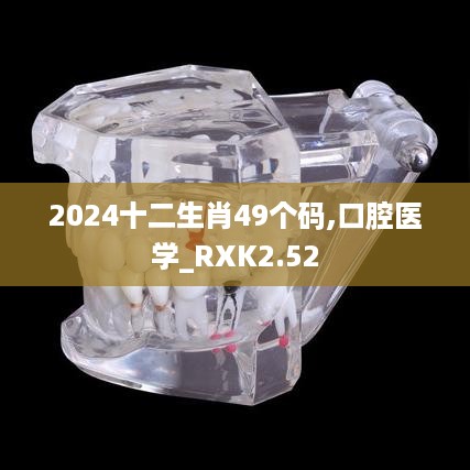 2024十二生肖49个码,口腔医学_RXK2.52