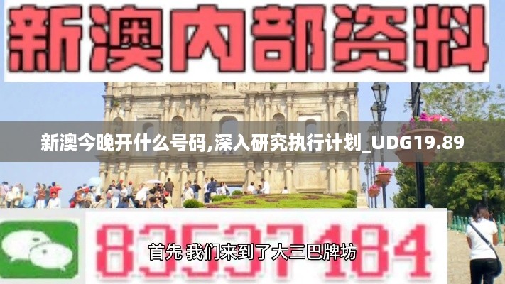 新澳今晚开什么号码,深入研究执行计划_UDG19.89