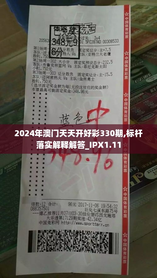 2024年澳门天天开好彩330期,标杆落实解释解答_IPX1.11