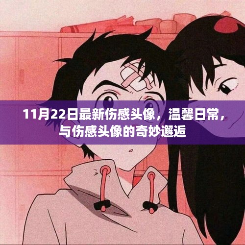 11月22日伤感头像精选，温馨日常的奇妙邂逅