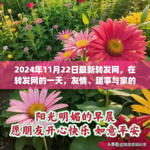 转发网的一天，友情、趣事与家的温暖在2024年11月22日的相聚